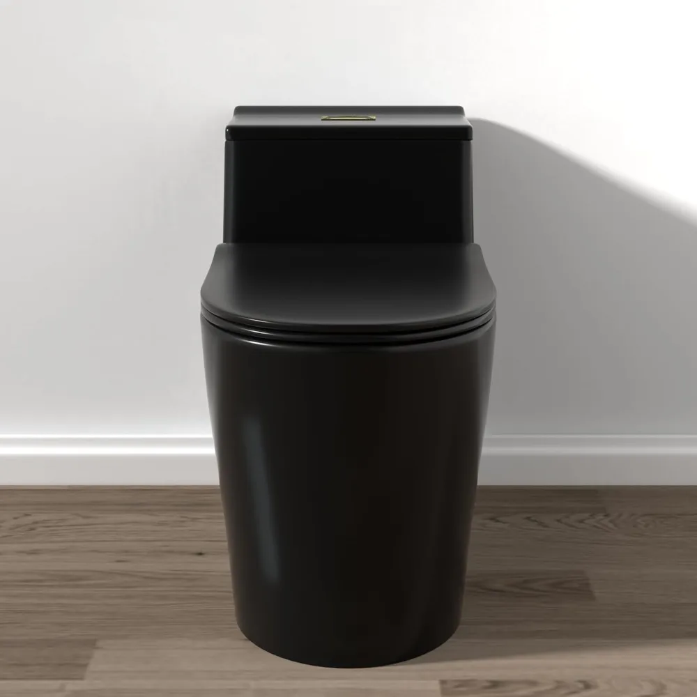 Modern Toilet, 12"rough in Matte Black One Piece Elongated, Dual Flush 1/1.6 GPF U Shaped Seat, Smart Toilet 2