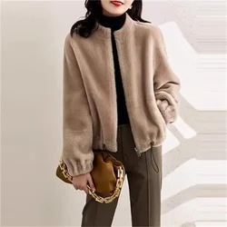 Fur One Stand Collar Coat Woman 2024 New Autumn and Winter Clothes Imitation Rabbit Mink Fluffy Loose Short Outwear Lady Trend