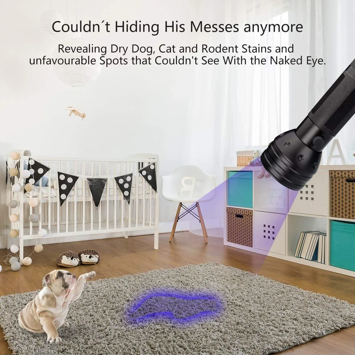 Slide image 2bad90d15d824316921e48da159237bc