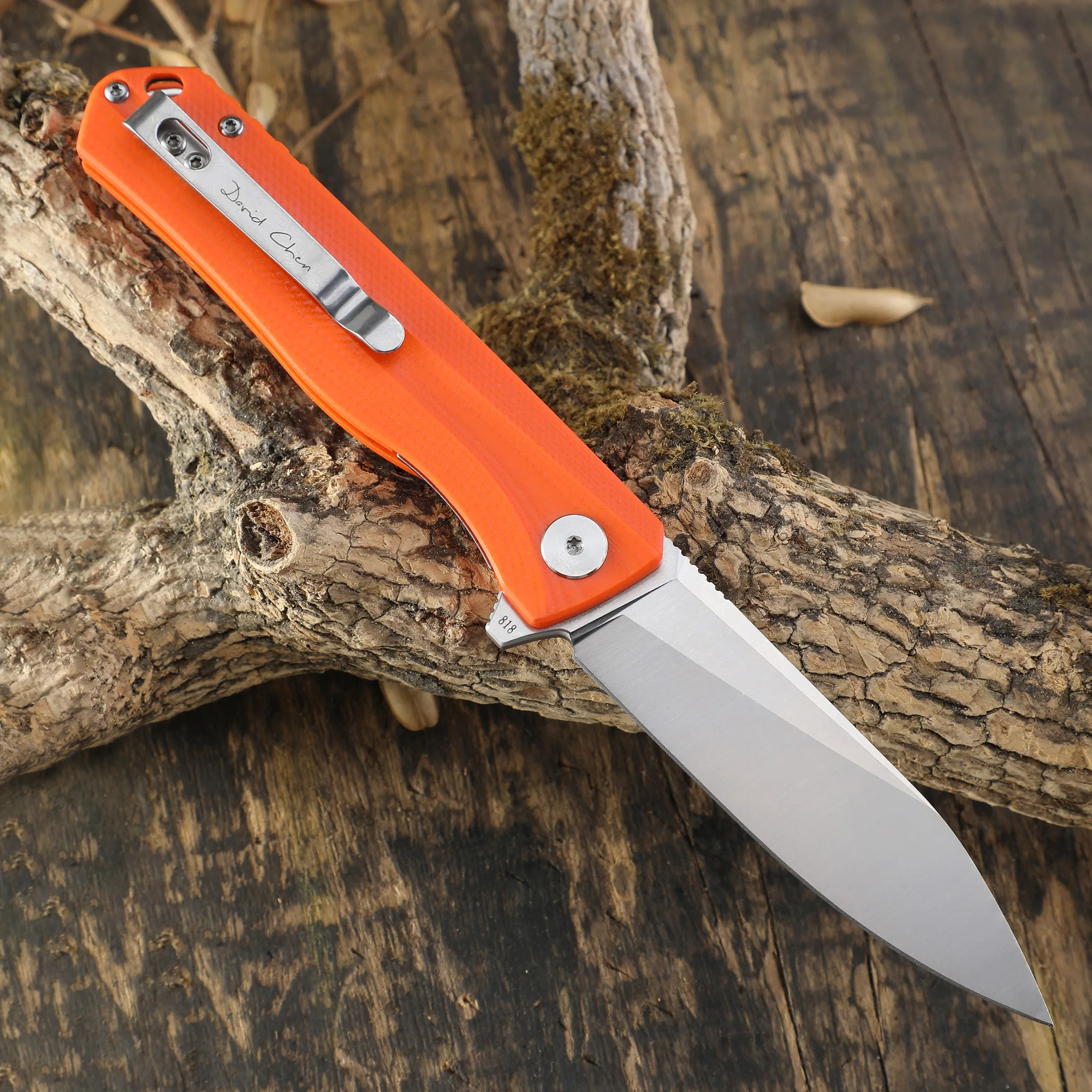 Petrified fish  D2 Steel  PF818 folding knives G10 handle  ball bearing outdoor hunting knife EDC pocket tool 2