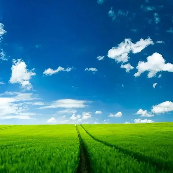 Shop1103789254 Store