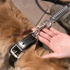 Heavy and Duty Large Dog Leash Genuine Leather Braided Dog Training Leash for Shepherd Medium Large Dogs Pet Supplies 6