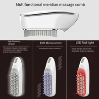 EMS Micro Electric Import Hair Care Comb, Multi-function Meridian Massage Comb, USB Rechargeable Hair Massage Brush 4