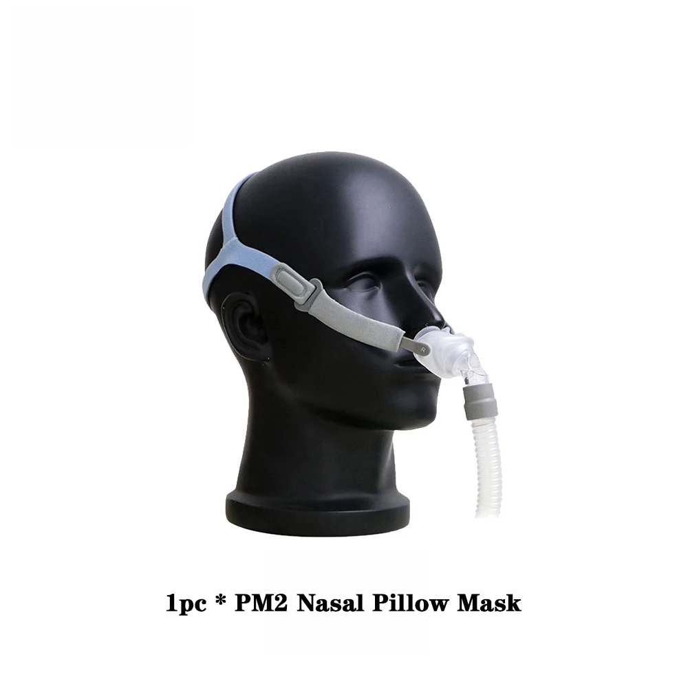 1 PC PM2
