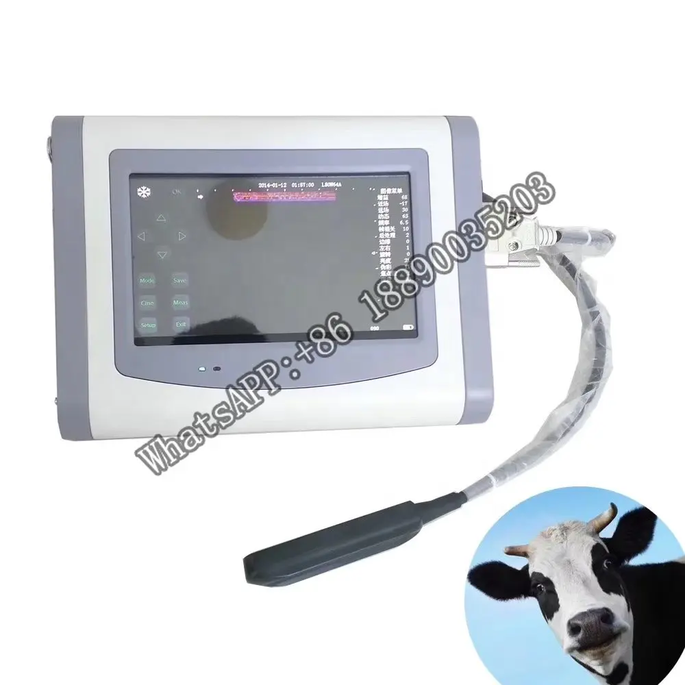 Veterinary cow horse sheep dog cat goat pig camel Pregnant Ultrasound Scanner Portable GM-VET-R8