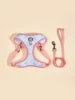 New Arrives Adjustable Soft Mesh With Fashionable Design Pet Harness And Leash Set 6