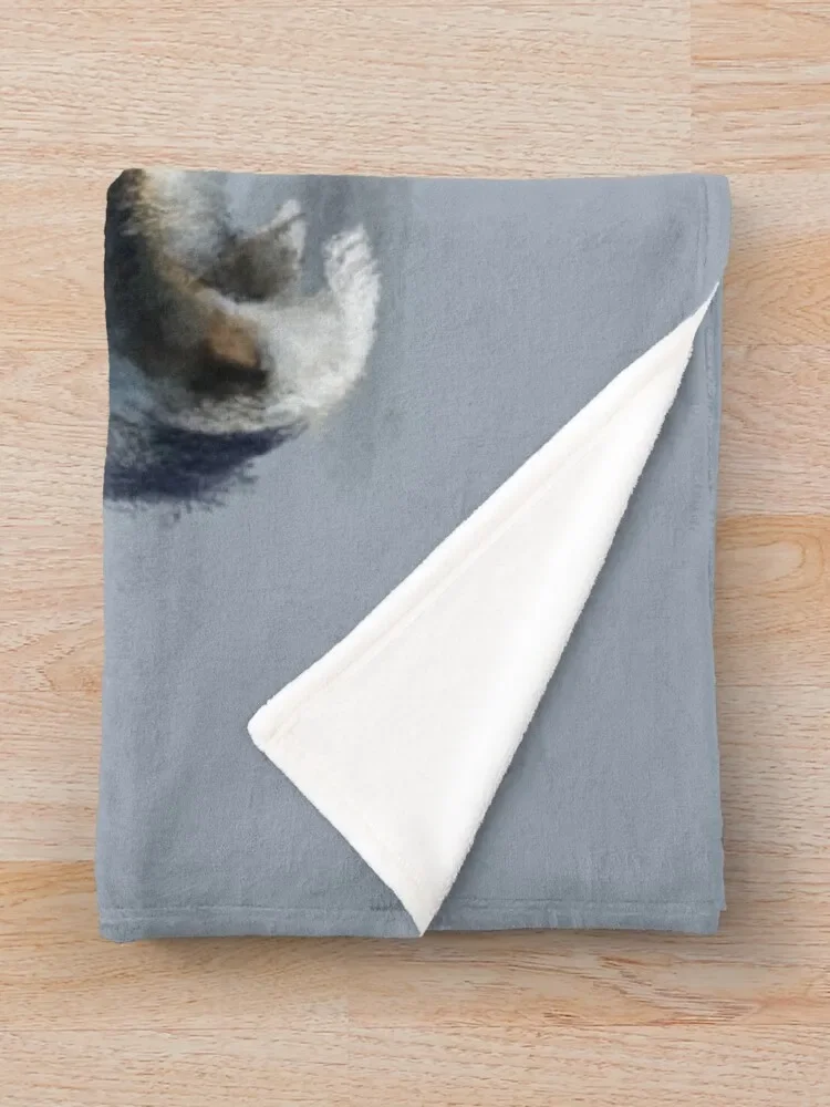 ��� ���� �ݸ� ������ ���, ���Ÿ� St, ���Ÿ�, �β��� ħ�� ����, ���� ���