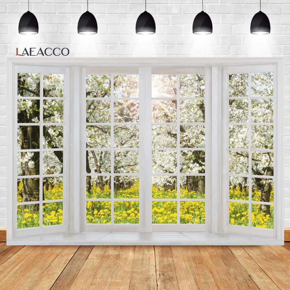Laeacco- â ,  ޺    ǳ   Ƽ ʻȭ  