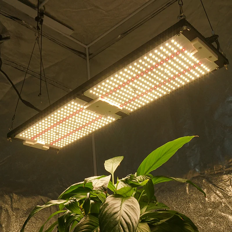 園芸用ライト キングブライト LEDライト フルスペクトル LM301h
