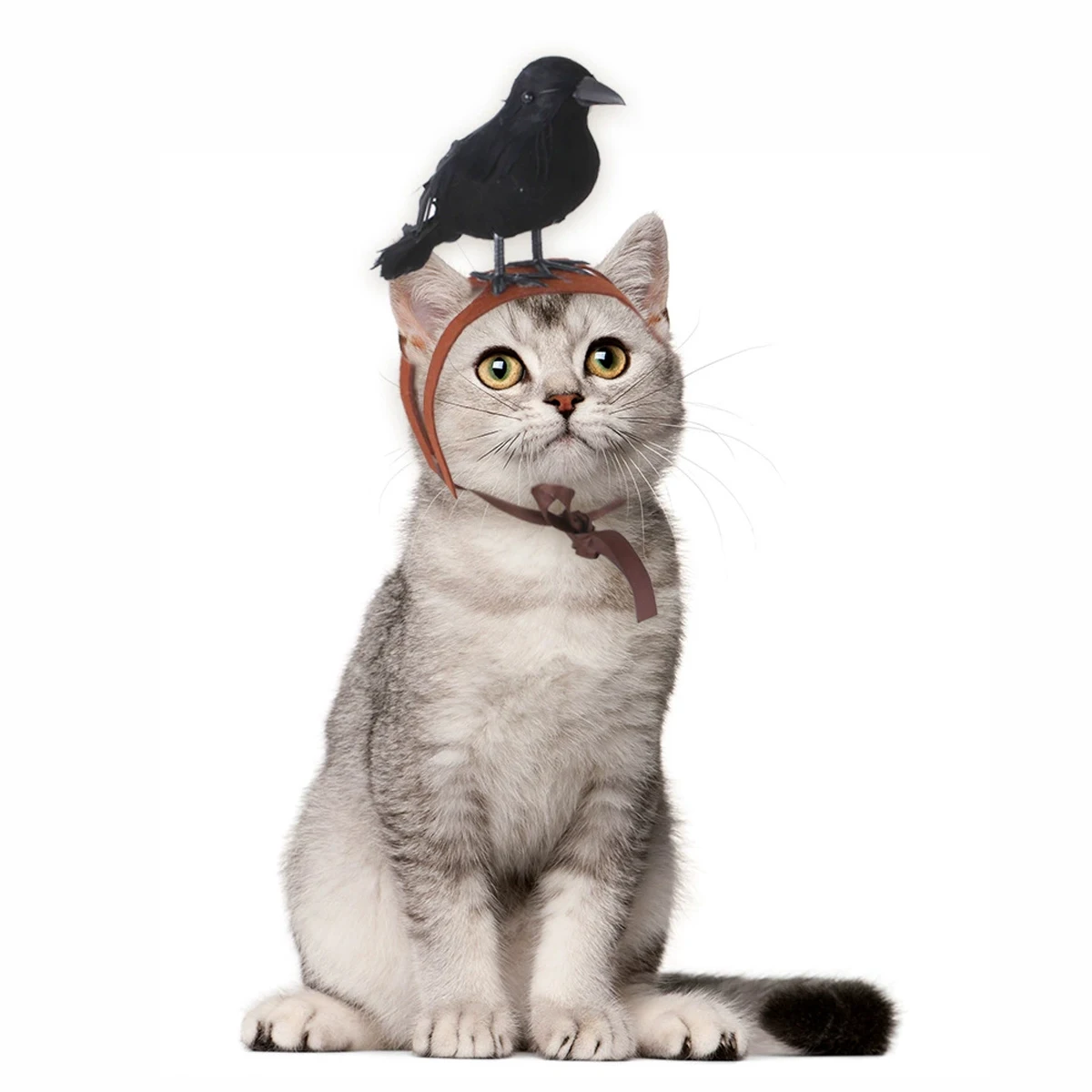 1pc-Halloween Crow Themed Pet Headwear for Cats and Dogs