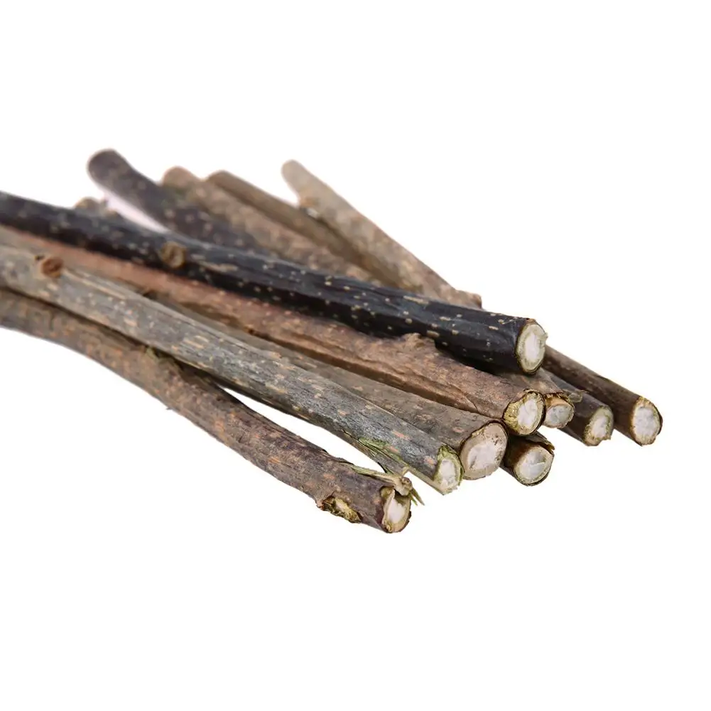 Title 20, 10Pcs Natural Catnip Cat Snacks Sticks Catnip P...