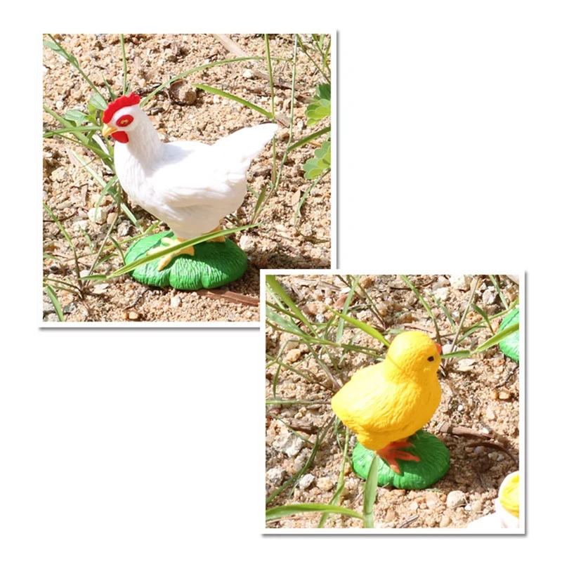 4Pcs Chick Life Cycle Model,Realistic Animal Life Growth Cycle Biological Model Kid Educational Figures Toys 3