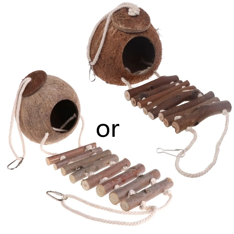 

for Shell Bird House Hamster Finch Canary Swing Accessory Drop shipping