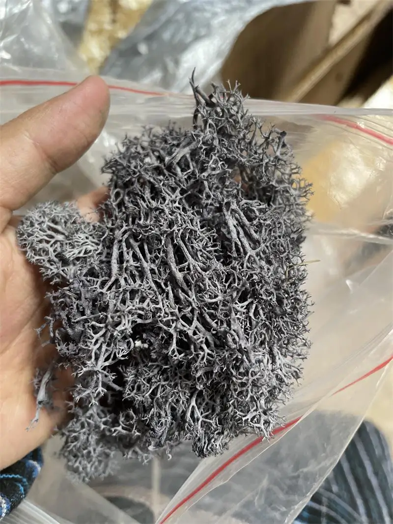 Artificial Green Plants Polyester Moss Grass for Home and Garden Decoration