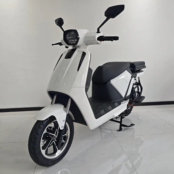 Electric Cargo Bike Fast E-scooter Carry Load King Electric Loader Scooter 1