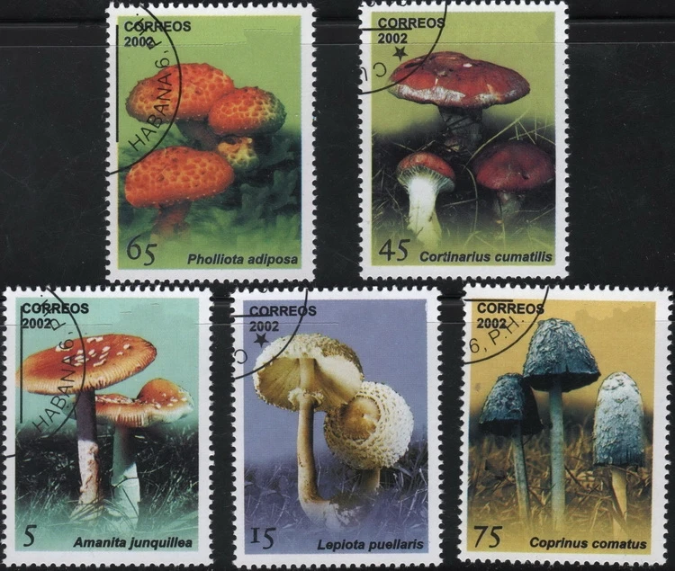 

5Pcs/Set Caribbean Post Stamps 2002 Mushroom Marked Postage Stamps for Collecting