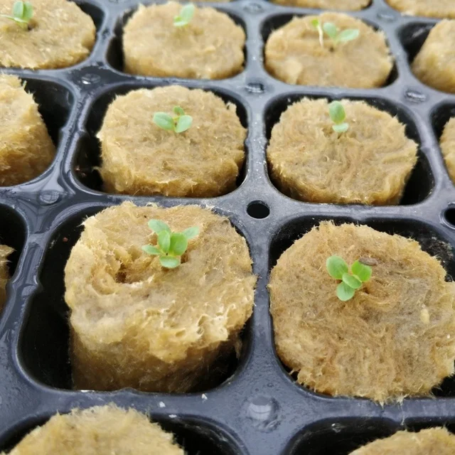 50 Db Indító Dugók Stoneugool Grow Cockes Hidroponikus Növények Kőgyapjú Tápanyagblokkok - Image 6