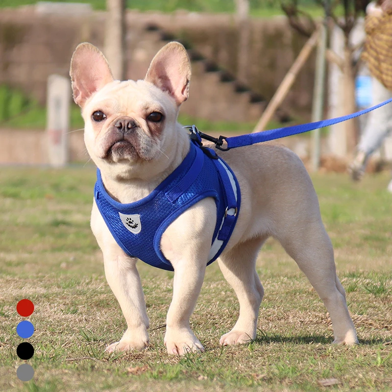 Pet Harness Leash Set Dog Reflective