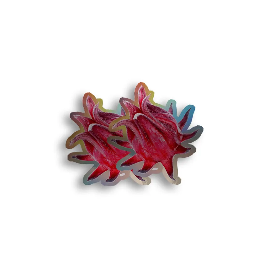 맞춤형 인쇄 풀 컬러 홀로그램 스티커 라벨