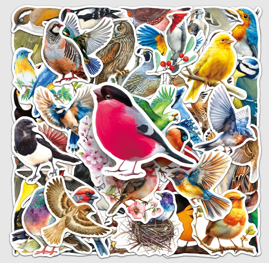 50 PCS 다채로운 새 동물 학습 방수 스티커 공예 활동 전화 케이스 스크랩북..