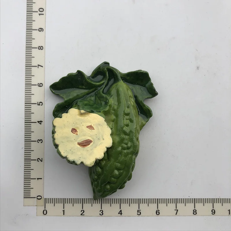 

bitter gourd Creative,Travel,Commemorate,Crafts,3D,Ornaments,Magnetism,Resin Material,Refrigerator Stickers
