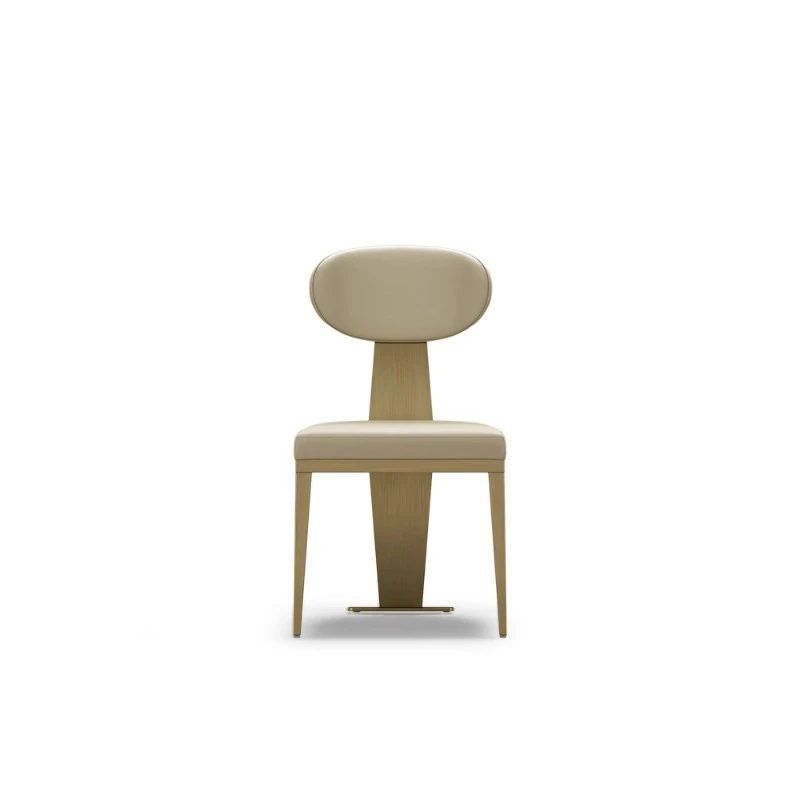 

Light Luxury Dining Chair Home Modern Simple Designer Internet Celebrity Dining Tables and Chairs Set Stainless Steel High-End