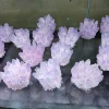 New ！！Beautiful pink Ghost phantom Quartz Crystal Cluster Healing Specimen 1pcs 5