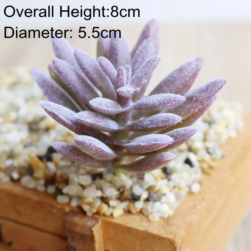 Vibrant Multicolor Flocking Succulent Plants