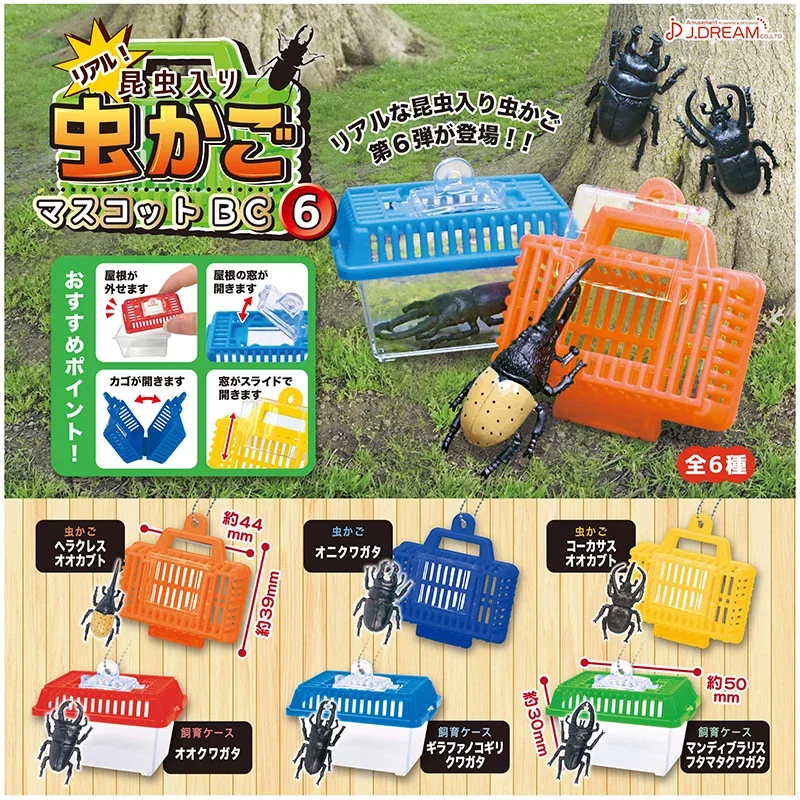 

J.DREAM Japan Gashapon Insect Keychain Kawaii Beetle Feeding Box P6 Figure Miniature Items Capsule Toys Gacha Anime Accessories