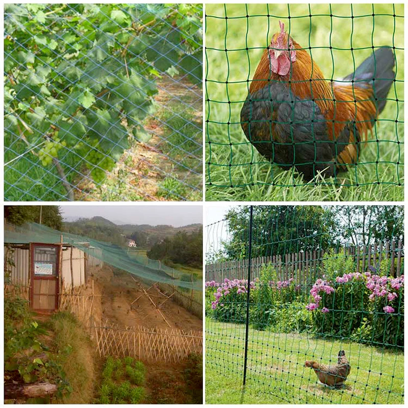 2.4x20 50M Chicken Fence Mesh Outdoor Bird-Proof Net Gardening Poultry Fencing