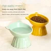 Creative Solid Color Simple Style Drinking Water High Footed Anti Knock Ceramic Cat Bowl Cat Dog Food Bowl Ceramic Cute Cat Bowl 4