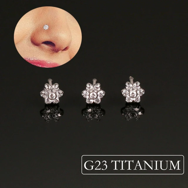 Titanium Diamante Nose Studs