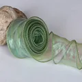 Shiny Light Green