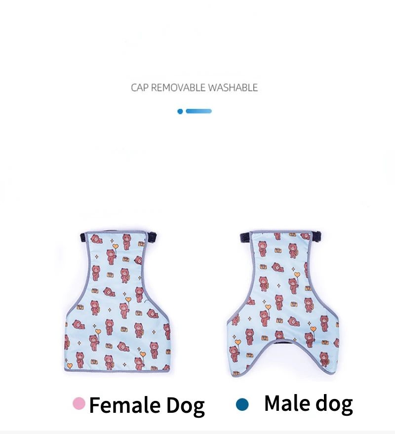 Dog clothes for Korji dog