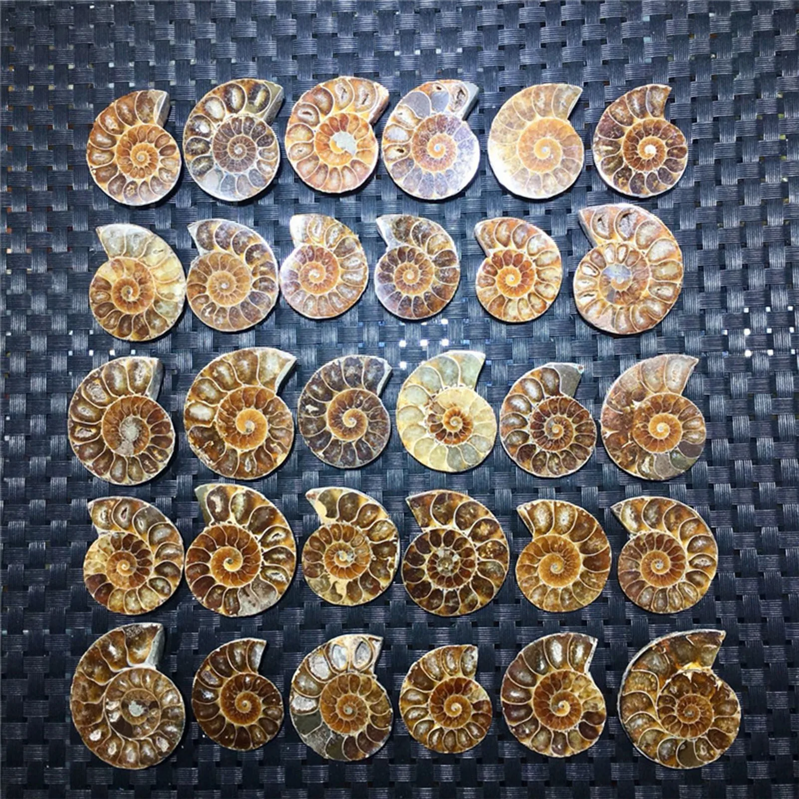 Natural Ammonite Vintage Style Spiral Shell To Teach Strange Stones Extinct Polished Ammonite Shell Great Gift For Friends And 2