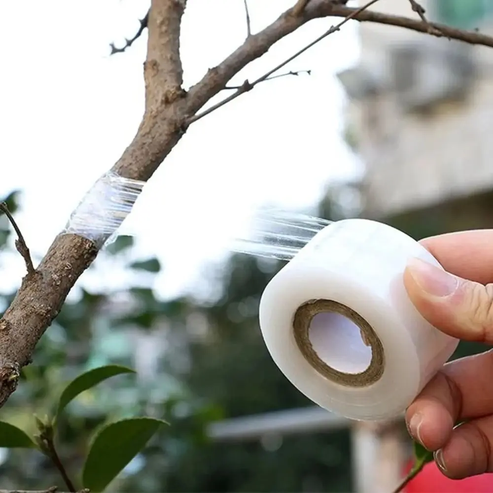 Garden Tools Plant Tying Tool PE Garden Grafting Tape Stretchable Self-adhesive Waterproof Seedlings Protection Membrane Fruit Tree Pruner Protection Tool