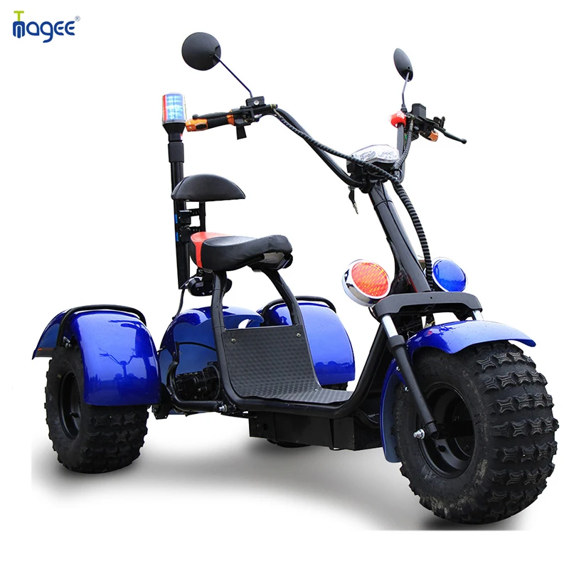 

n 2023 Hot Recommend Fatglider With Fat Tire Citycoco Golf Use Electric Scooter For Golf Club Use
