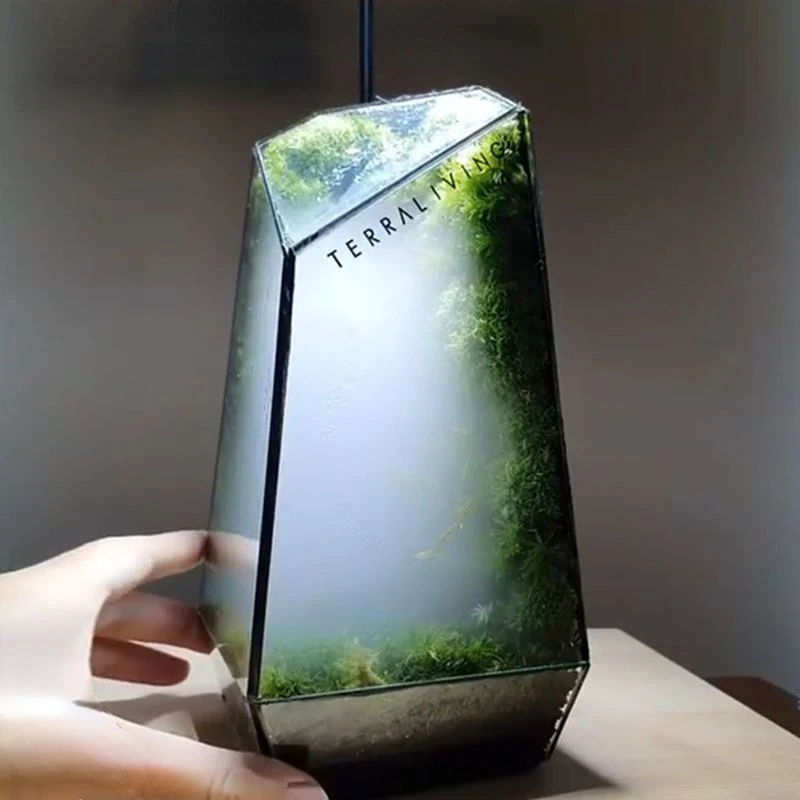 

Креативный цветочный горшок в форме микроландшафта, украшение, мох, суккуленты, стеклянная теплица, открывается дверь, украшение для дома