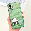 Case-c51