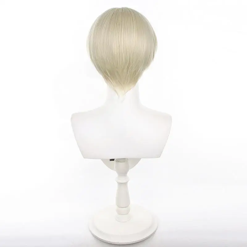 L-email wig Synthetic Hair Anime Wind Breaker Ren Kaji Cosplay Wig 30cm Short Hair Wigs Heat Resistant Wig 5