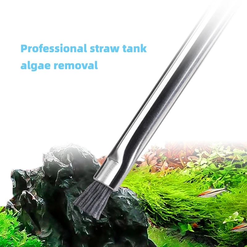 

Stainless Steel Cleaning Brush Algae Removal Cleaning Tool Clean Scrub Fish Tank Cleaning Tool Grass Tank Algae Removal Brush