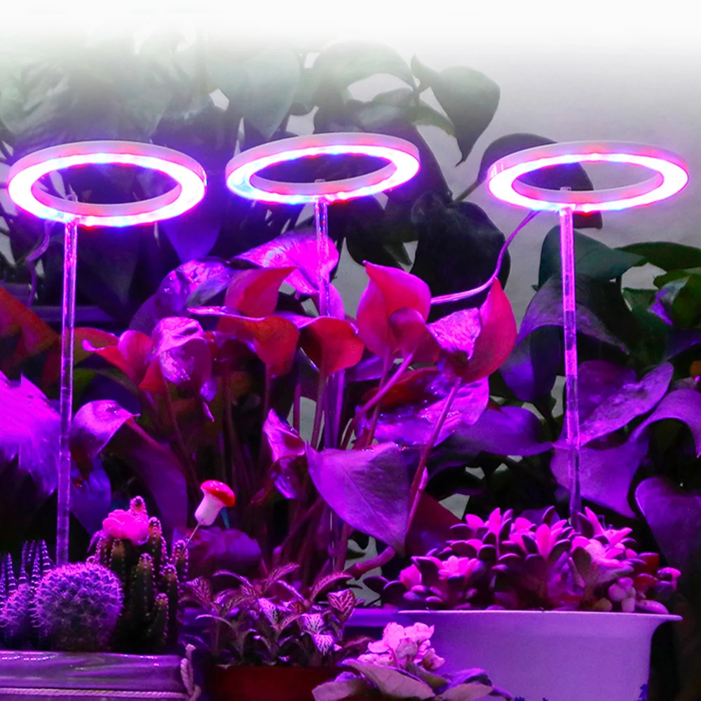 Lampe LED pour culture de plantes, USB, spectre complet, intensité réglable  à 5 niveaux et minuterie, éclairage pour tente/chambre de culture de fleurs  - AliExpress