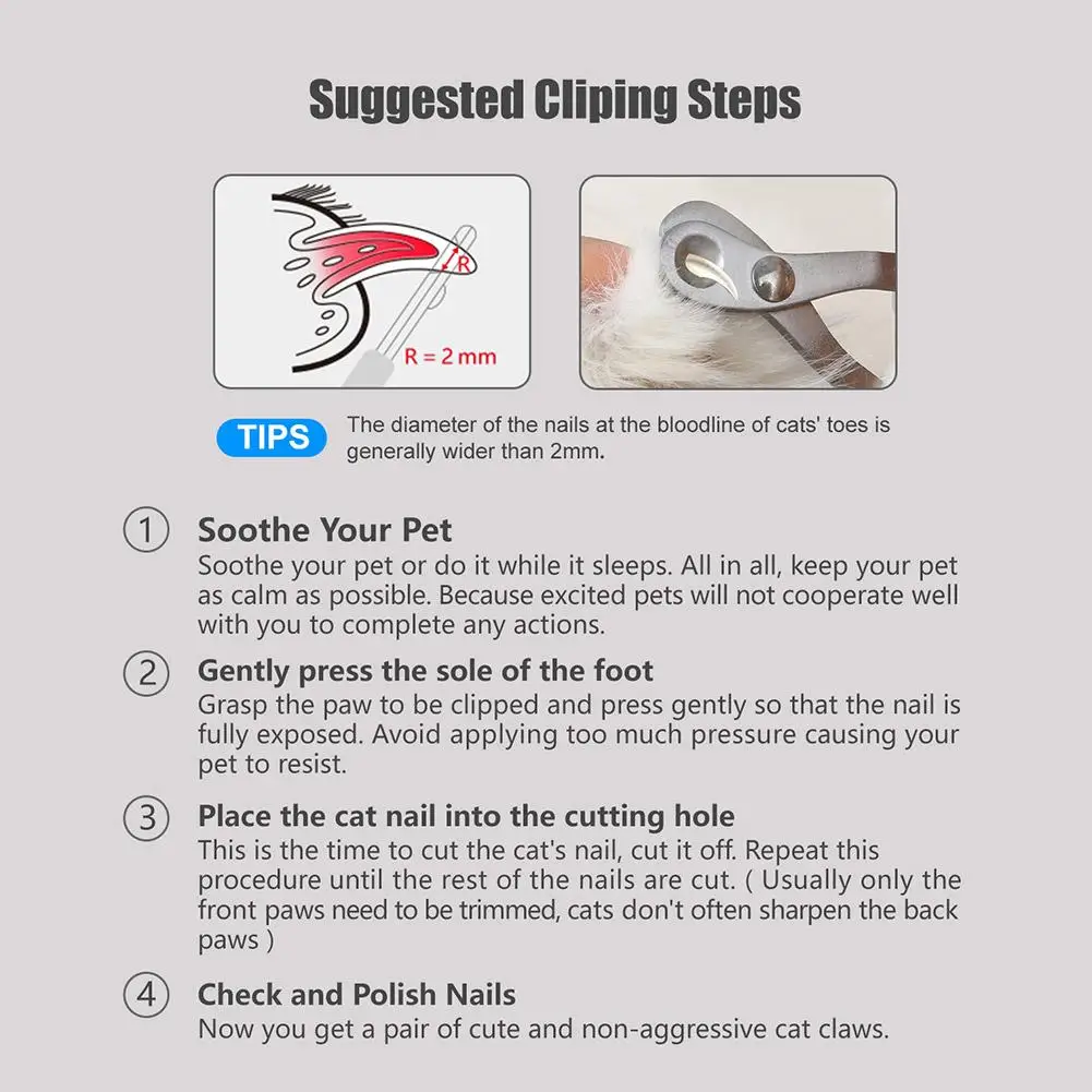 Title 11, Professional Pet Nail Claw Grooming Scissors Fo...