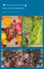L'm'm Fruit and Vegetable Purifier Vegetable Washing Artifact Automatic Vegetable Washing Machine 3