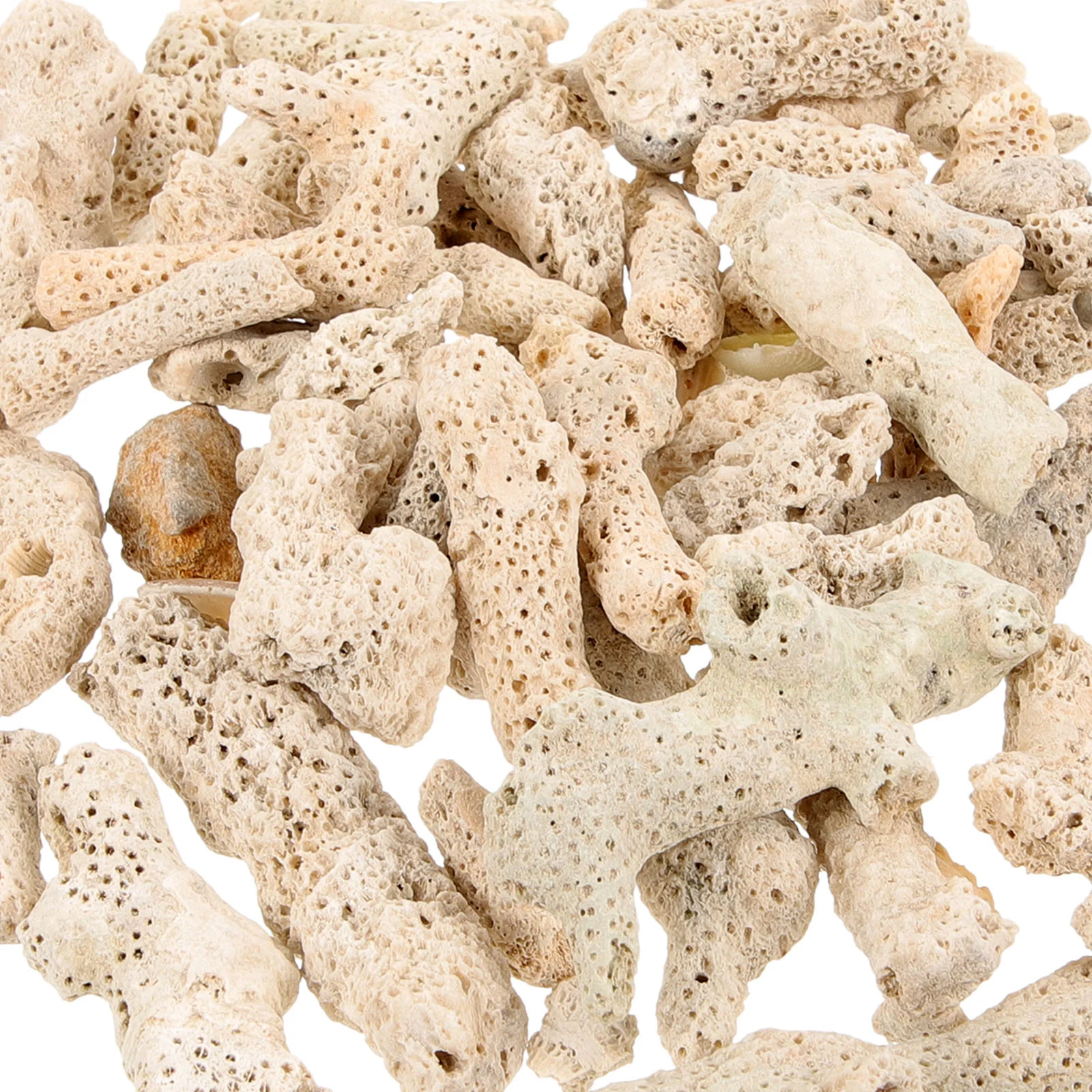 

Corals Fish Tank Filter Media Pond Filtration Media Reusable Pond Aquarium Corals Filter Media Fish Tank Bottom Sand Parts