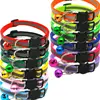 12 Pcs Adjustable Pet Dog Cat Collar Reflective Breakaway Buckles with Bell Colorful for Kitten or Puppy Chihuahua Bulldog Leash 1