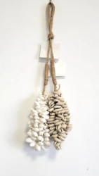 Bohemian Round Sea Shell Dreamcatcher