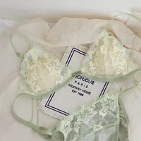 Ultra Thin Bralette for Small Bust Women French Lace Embroidery Wireless Comfort Sexy Back Beauty Everyday Bra Set BANERDANNI