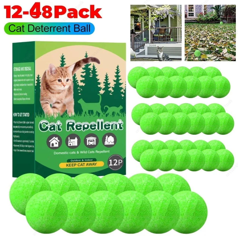 Image showcasing Everything You Need to Know About Natural Termite Deterrents