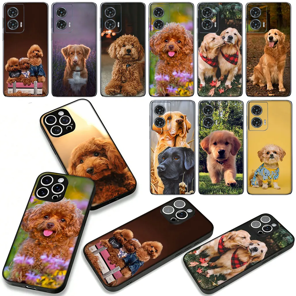 Golden Retriever Poodle Dog Design Phone Case